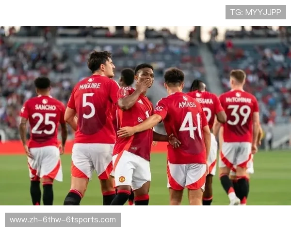 英超各球队球迷情绪分析