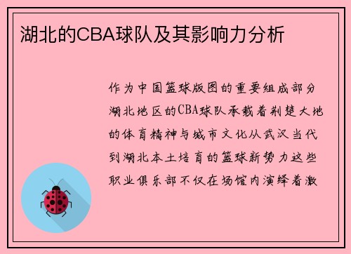 湖北的CBA球队及其影响力分析