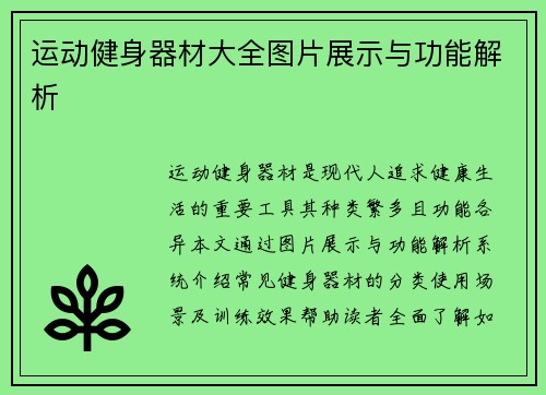 运动健身器材大全图片展示与功能解析
