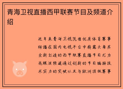 青海卫视直播西甲联赛节目及频道介绍